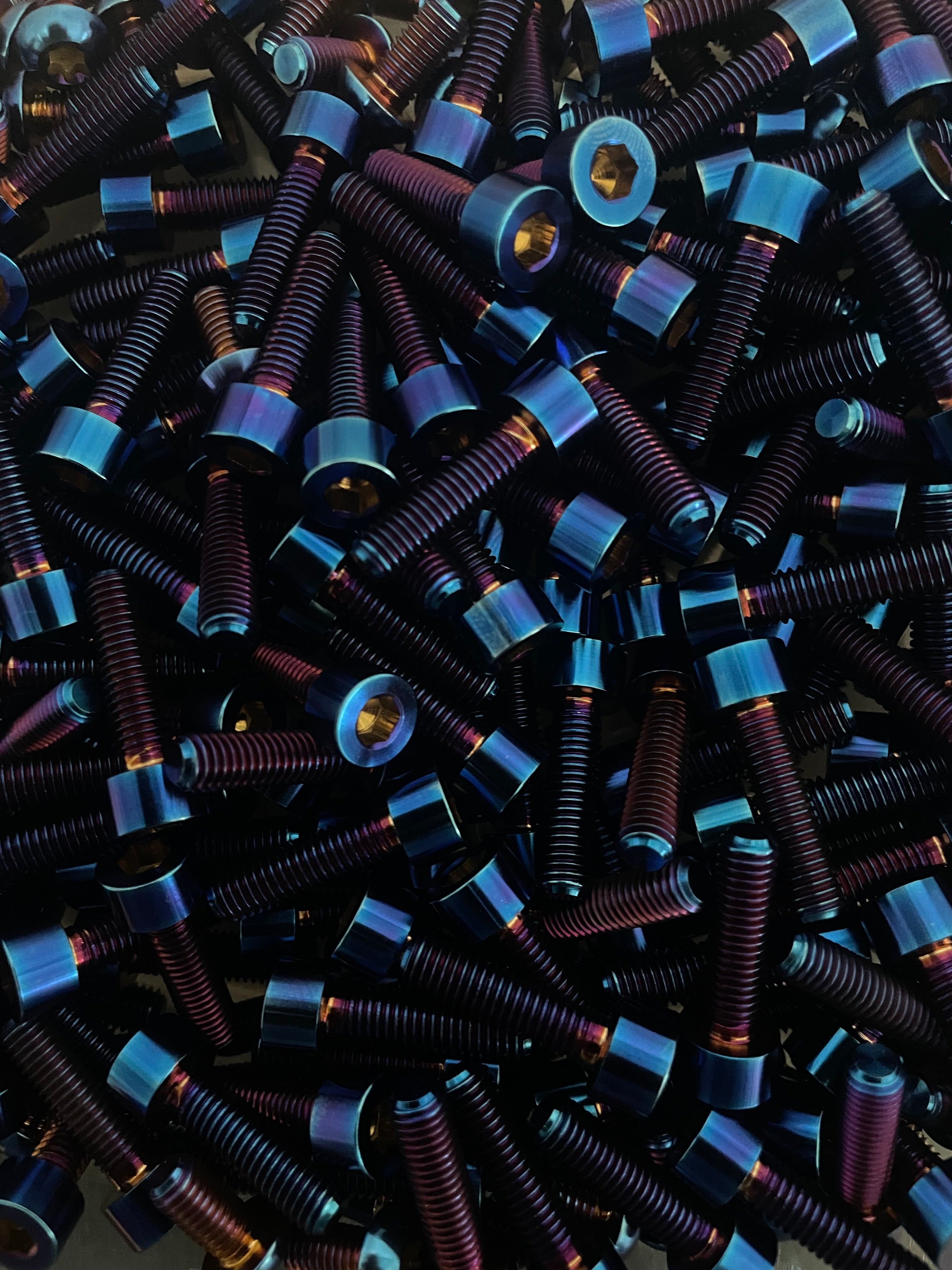 E-ride pro 2.0/3.0 titanium bolt kit